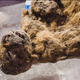 Illustration for article titled These Frozen Lion Cubs Were Just a Few Weeks Old When They Died 12,000 Years Ago